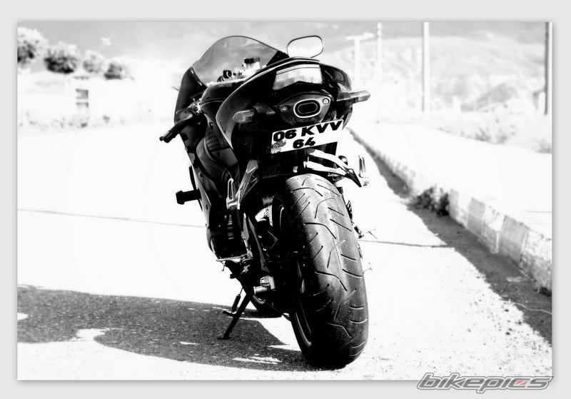 Photo 1728624