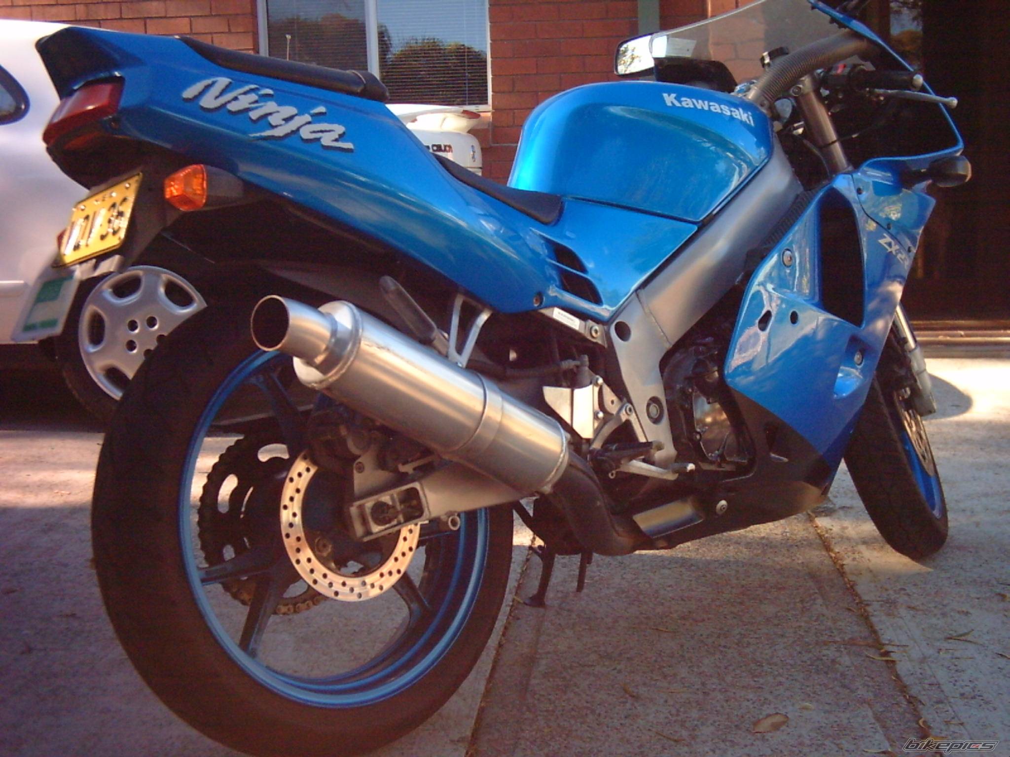 Photo 172864