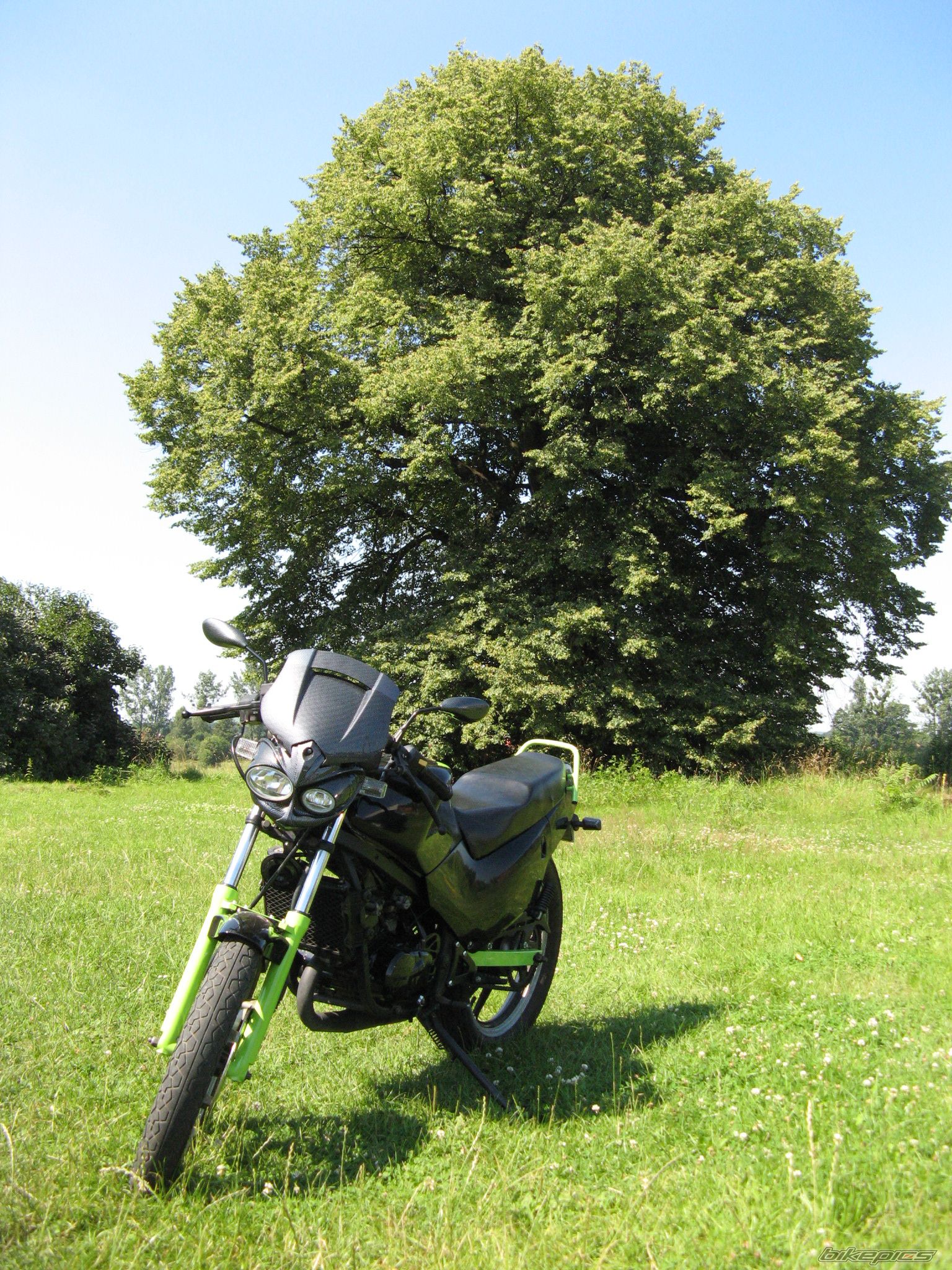 Photo 1728696