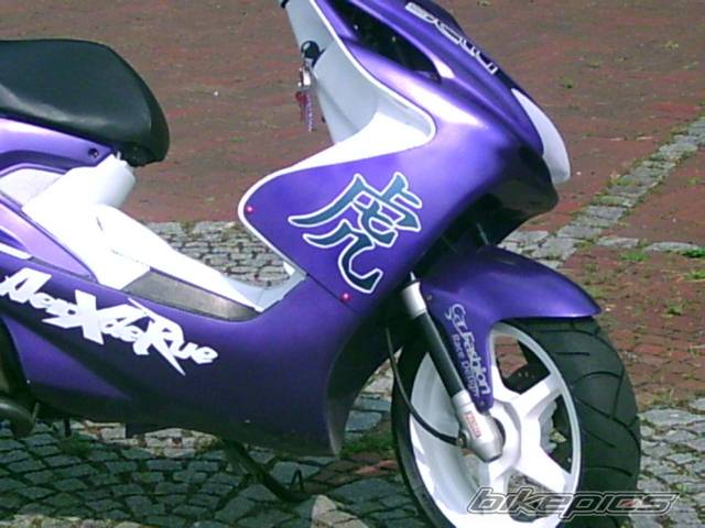 Photo 172873