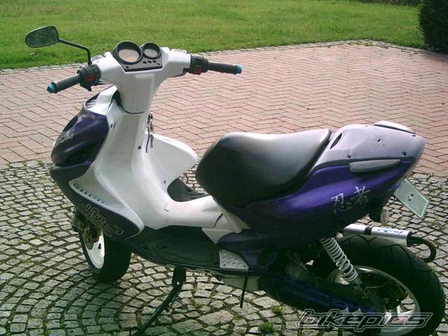 Photo 172878