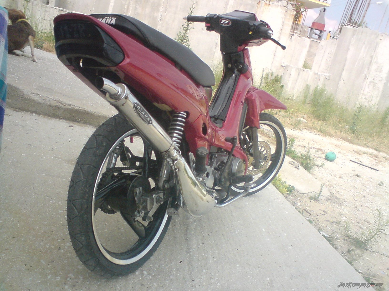Photo 1728855