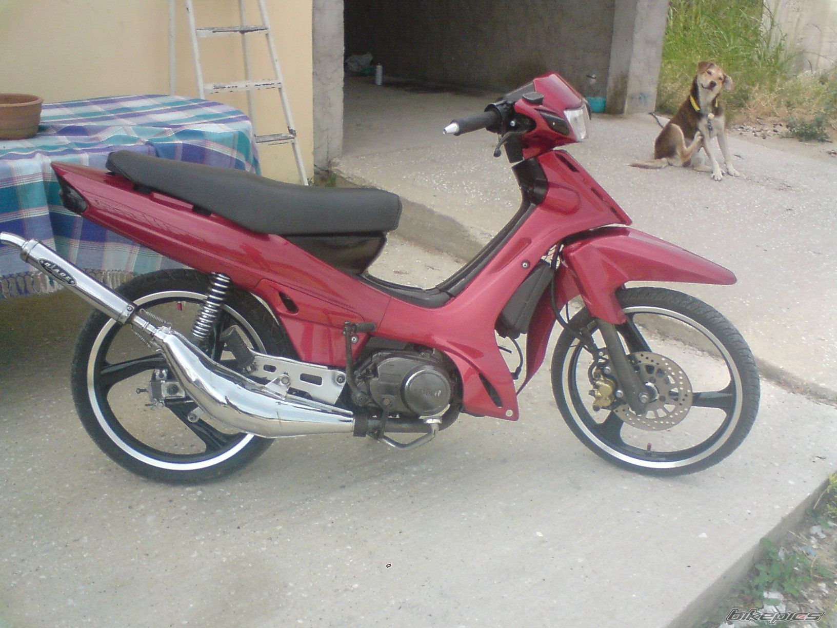 Photo 1728856