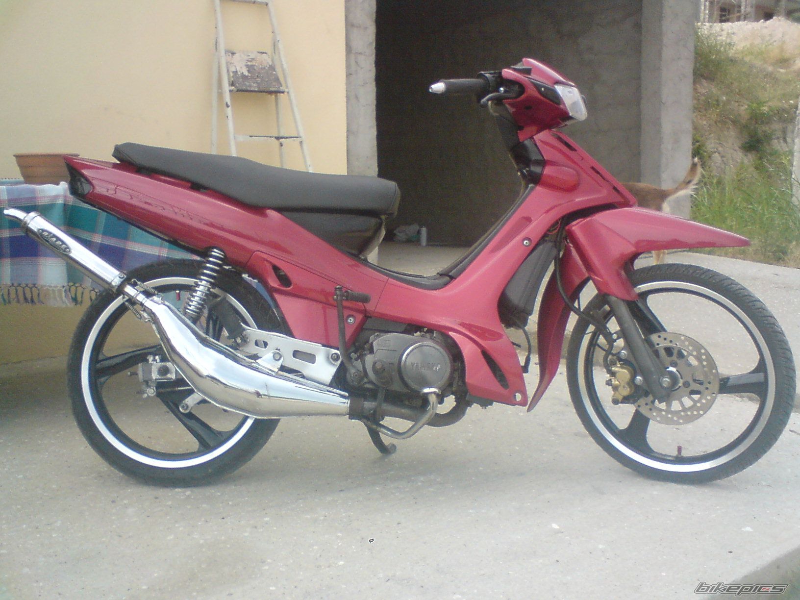 Photo 1728860