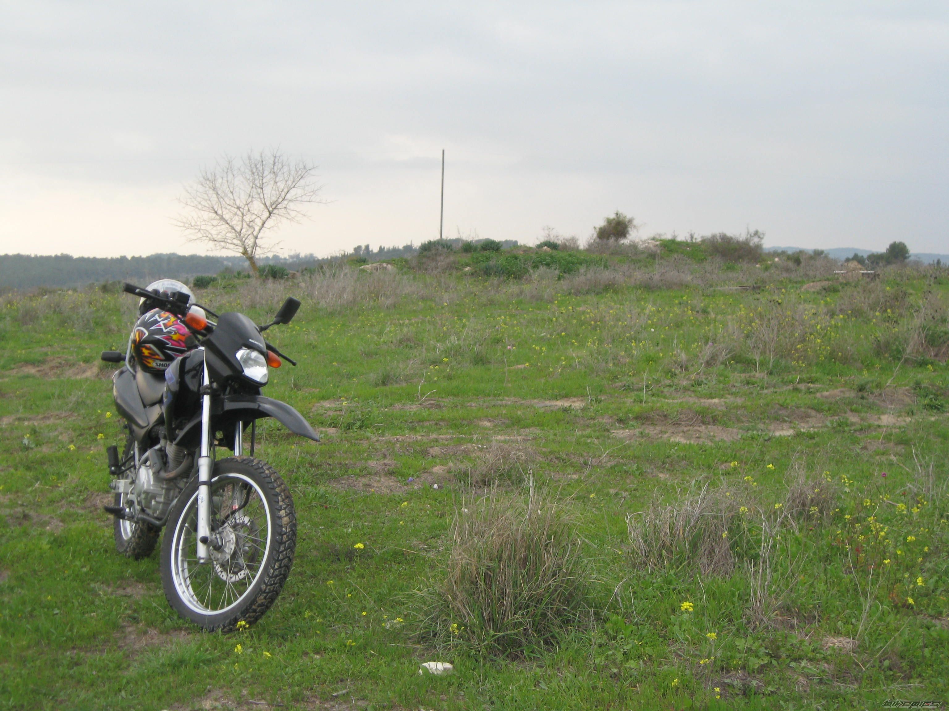 Photo 1728922