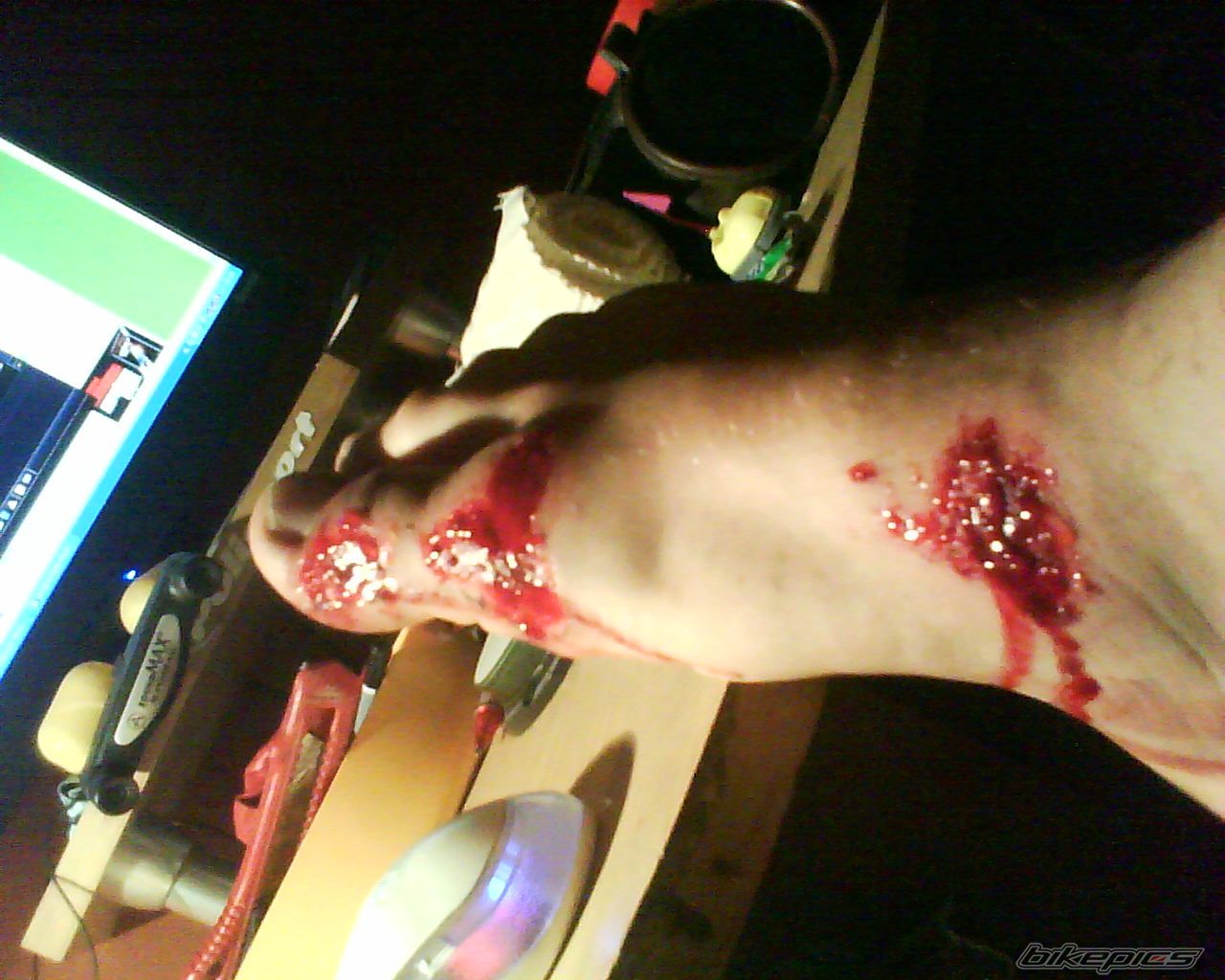 Photo 1728949