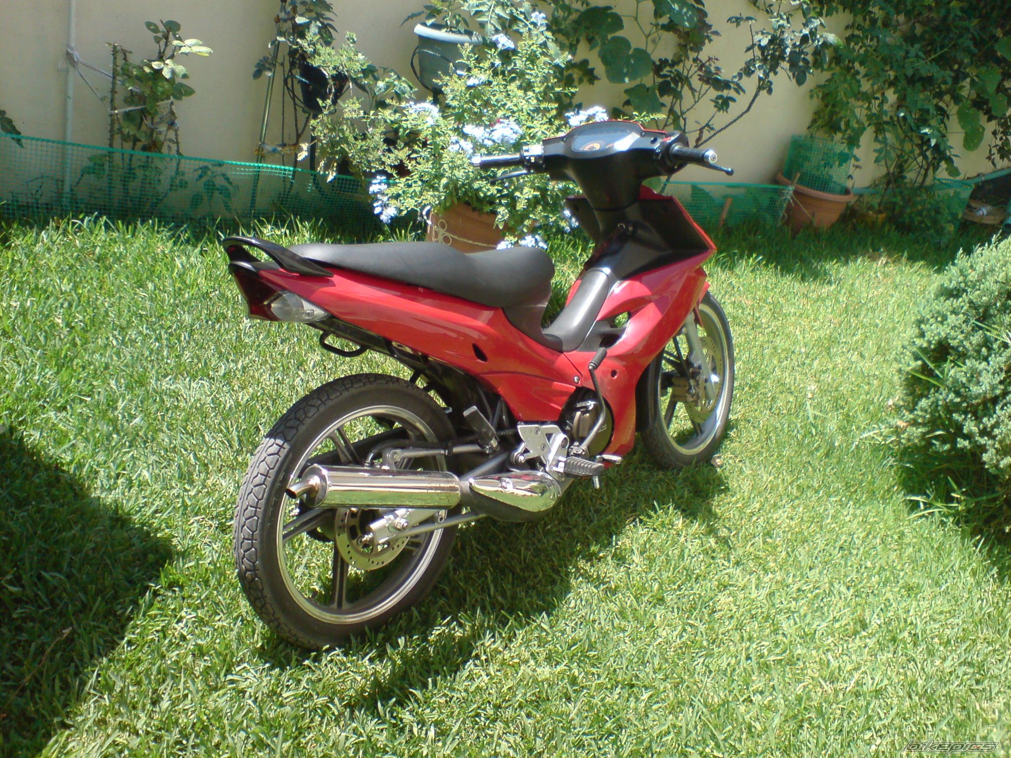 Photo 1728965