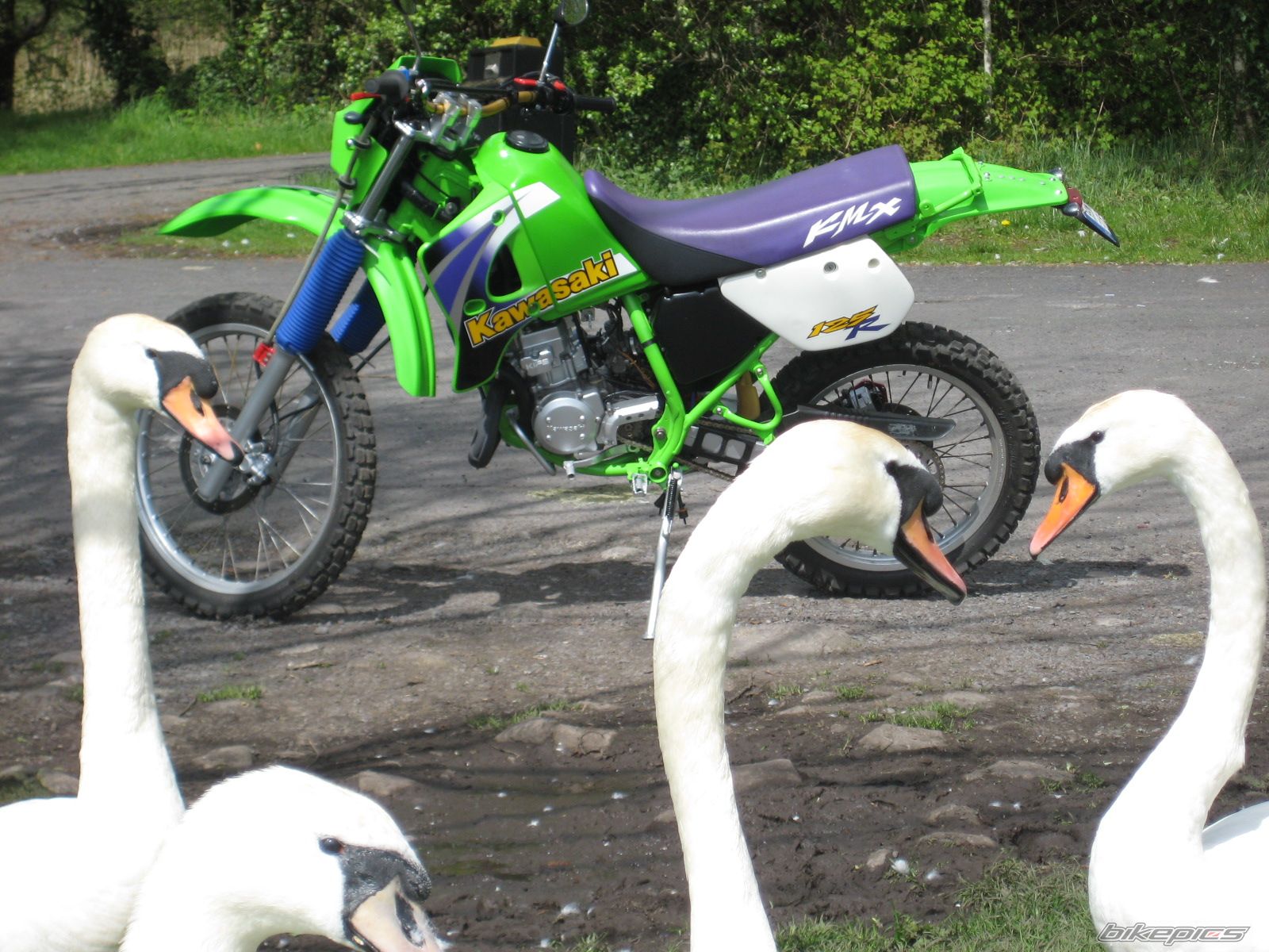 Photo 1728990