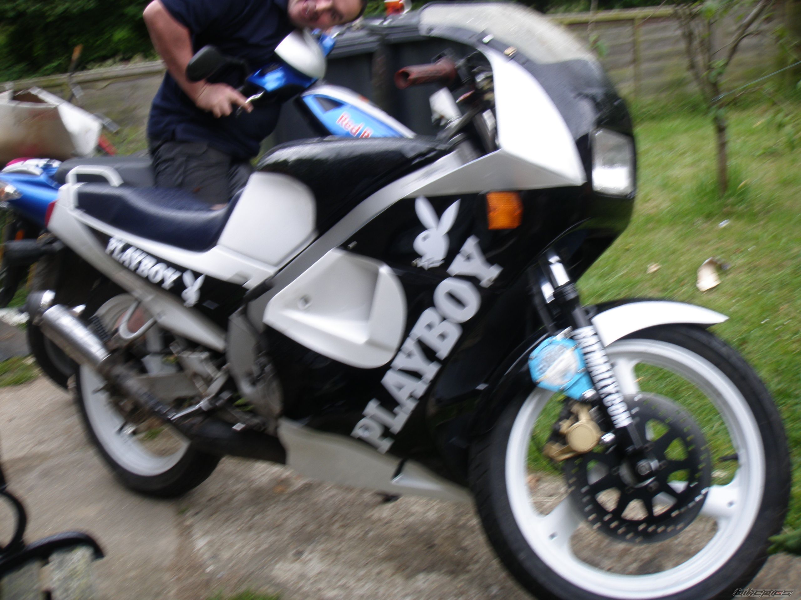 Photo 1729033