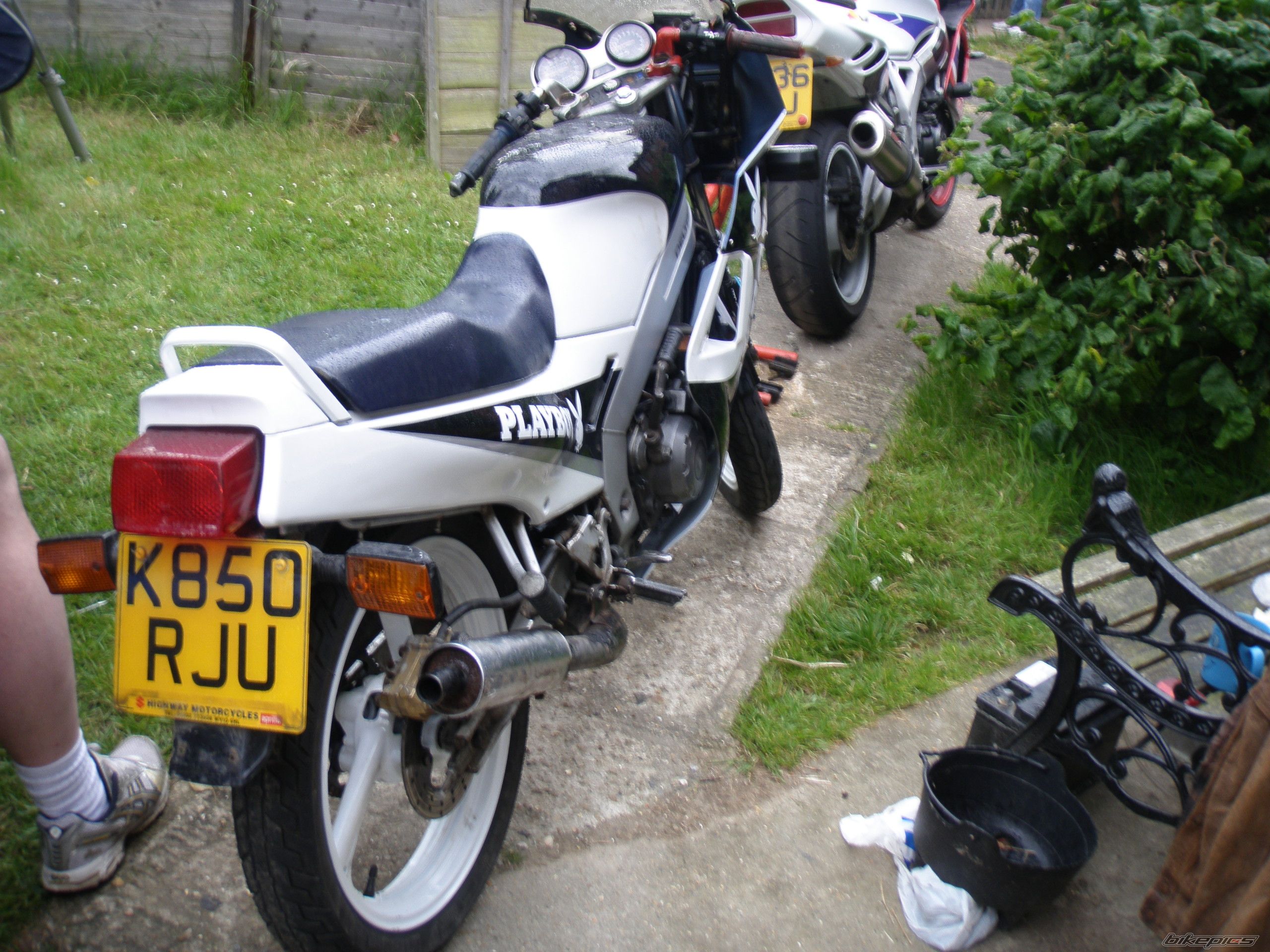 Photo 1729034