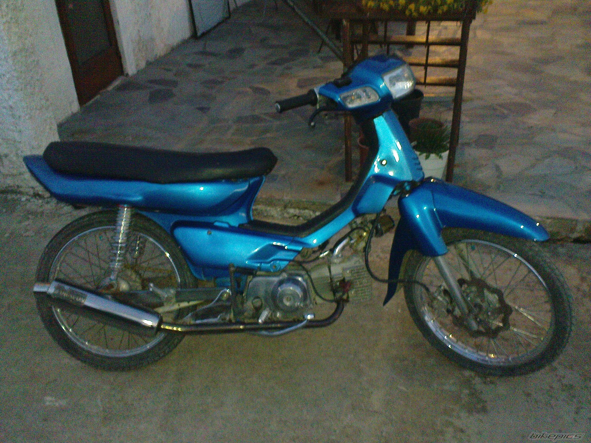 Photo 1729078