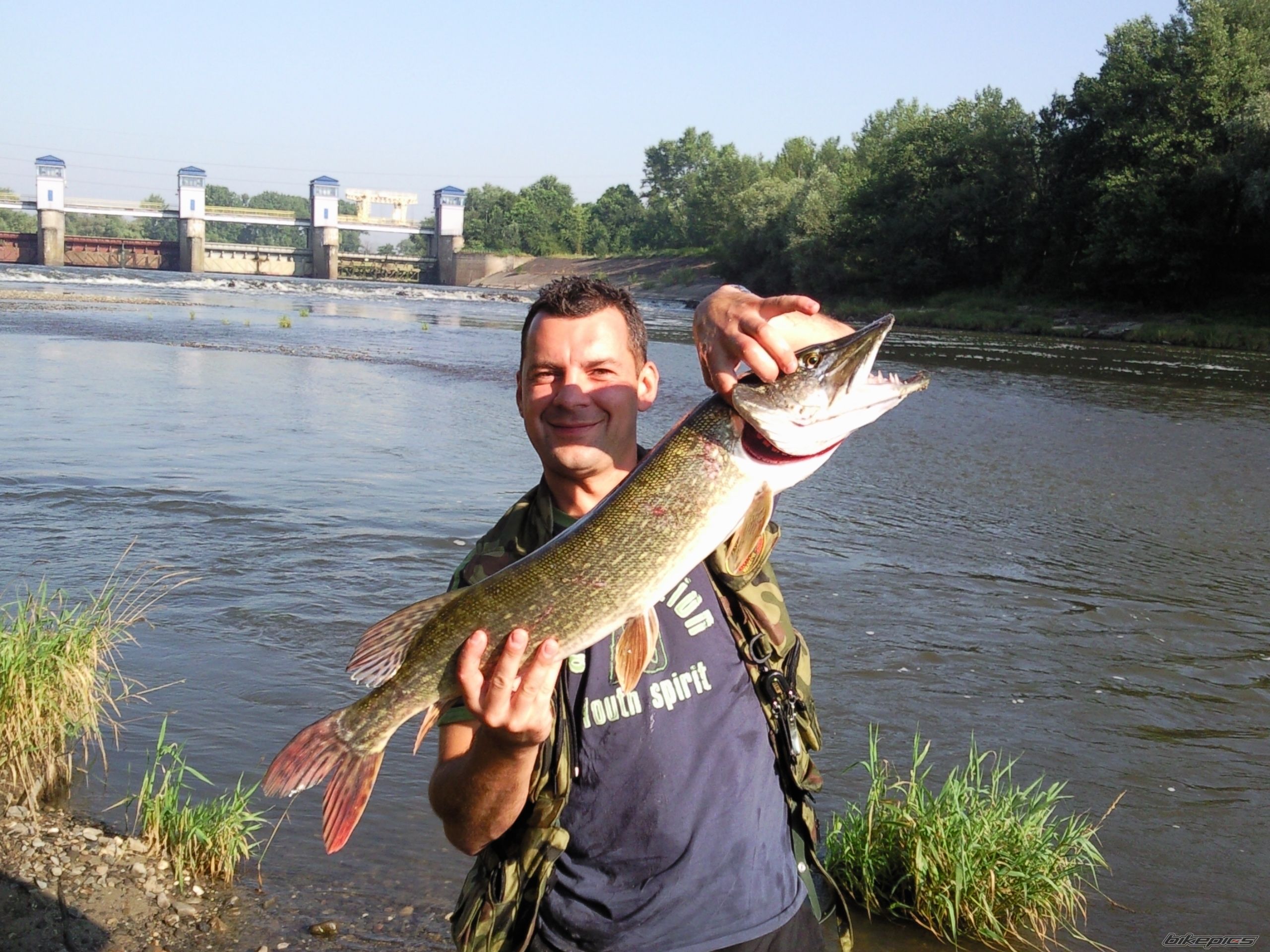 Photo 1729184