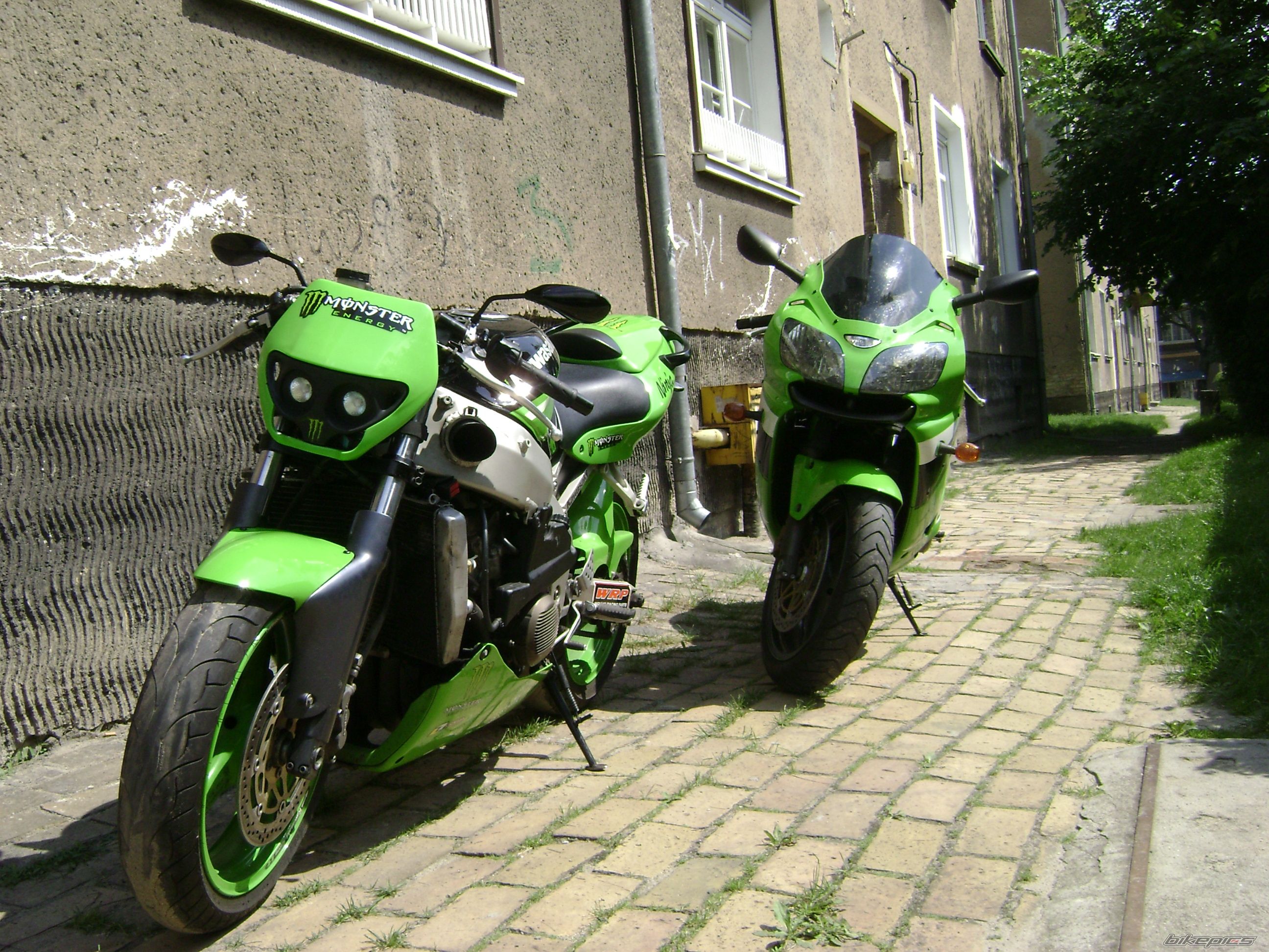 Photo 1729199