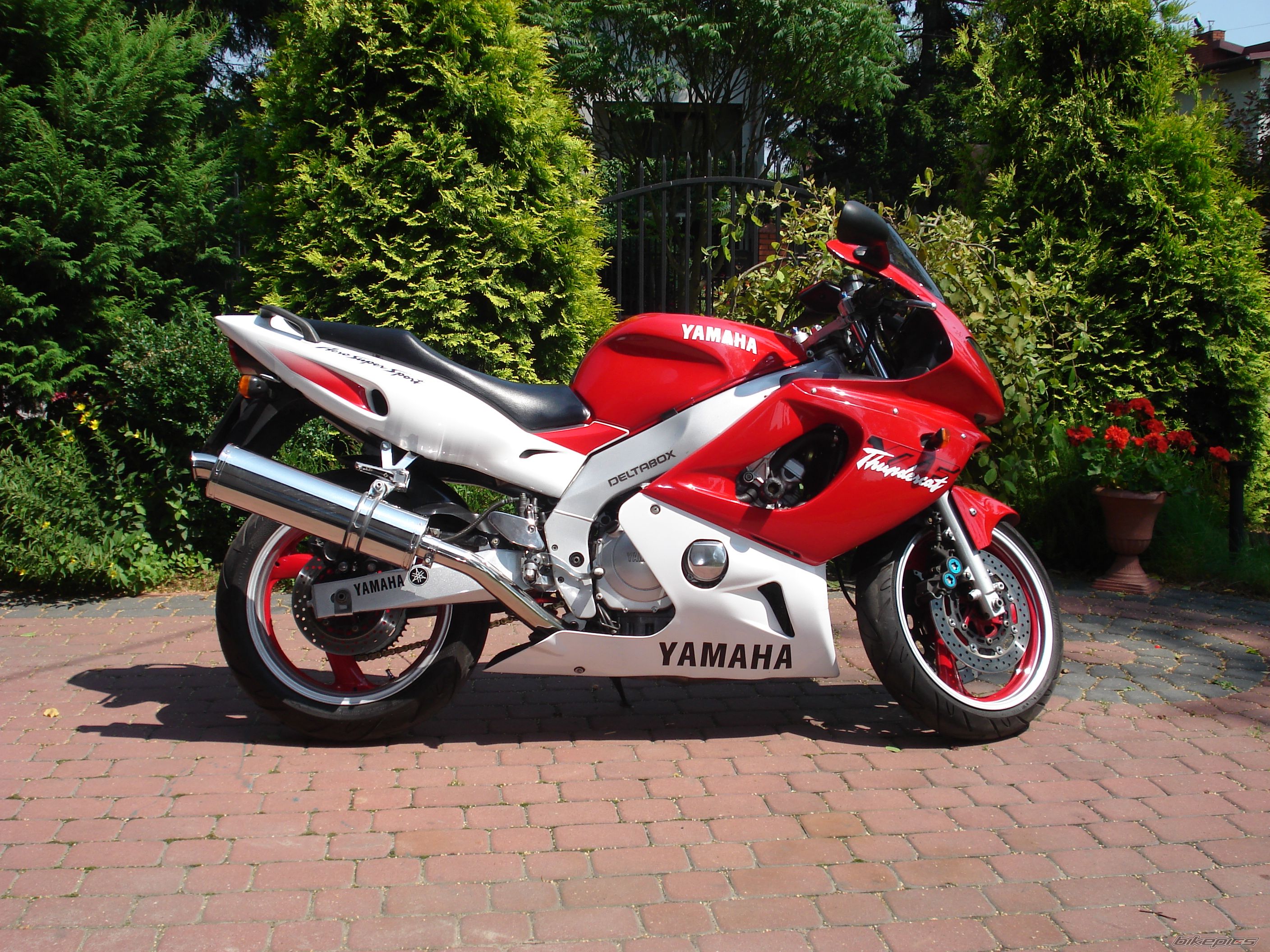 Photo 1729249