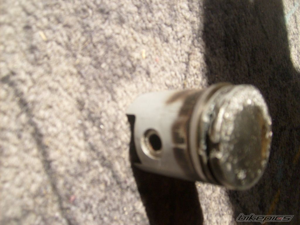 Bike Photo 1729280
