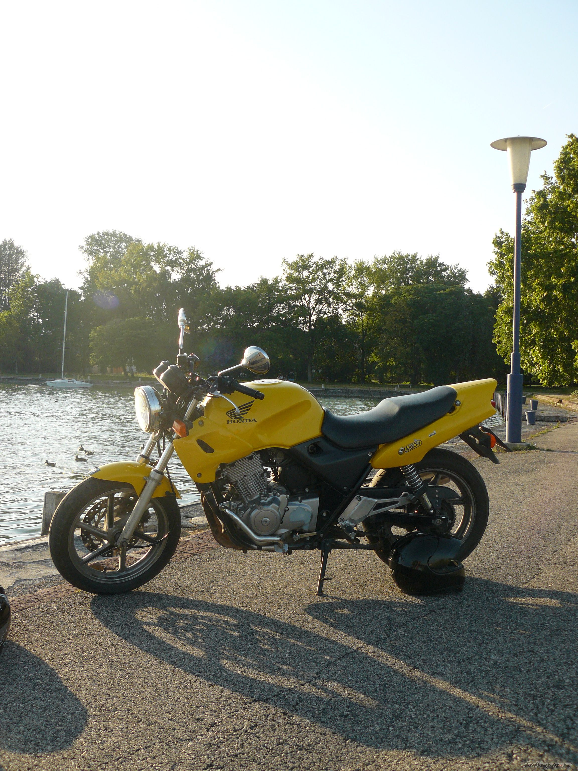 Photo 1729445