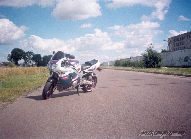 Photo 17296