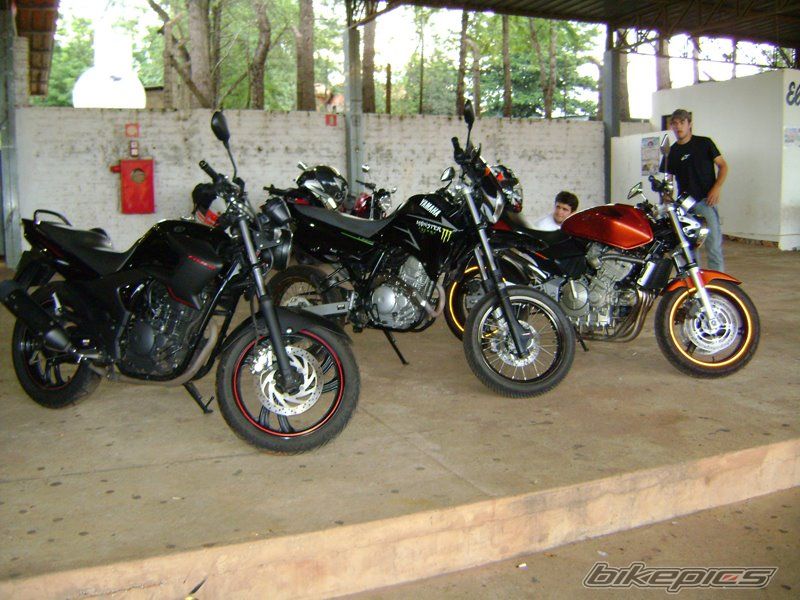 Photo 1729629