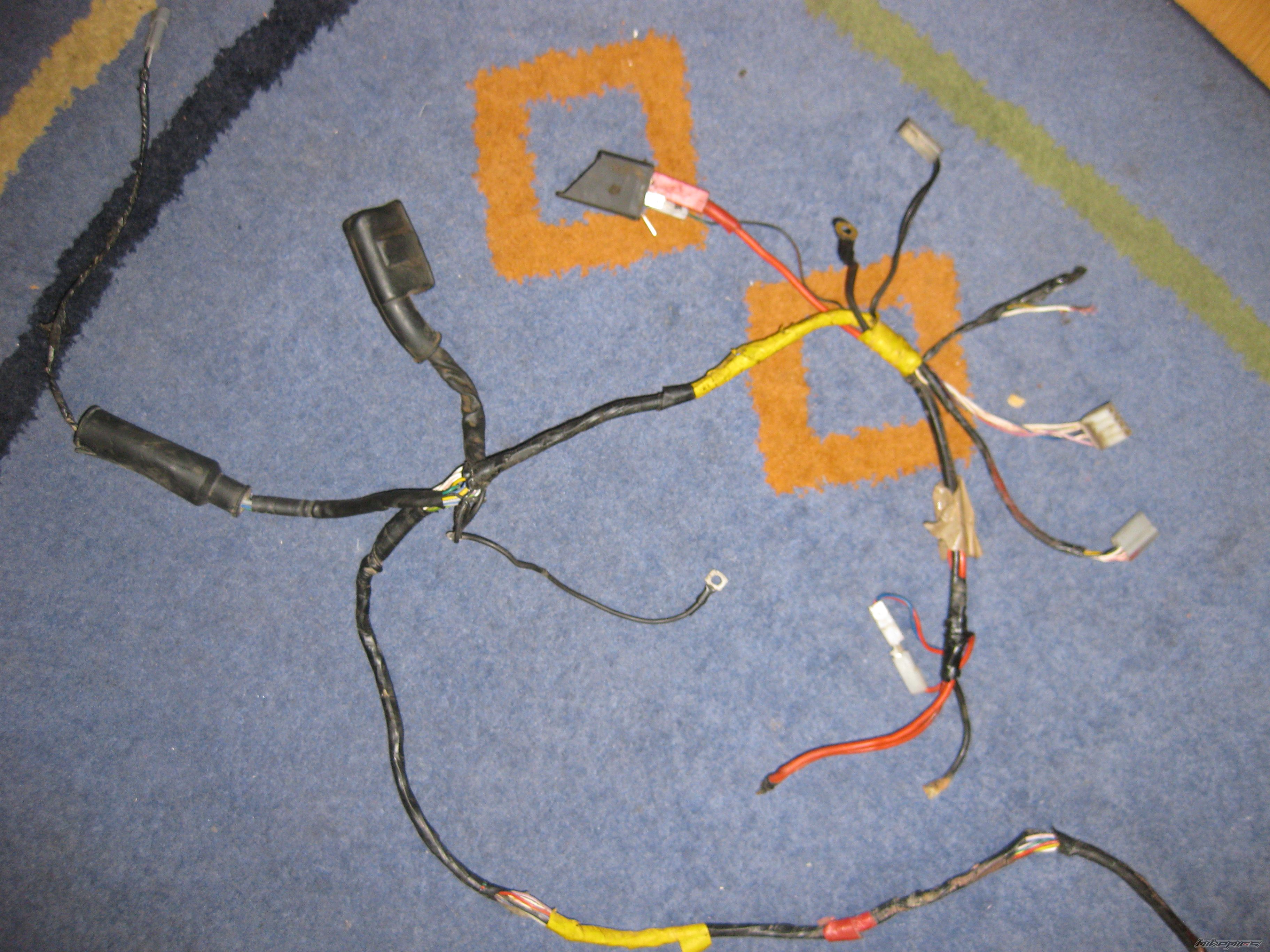 Photo 1729689