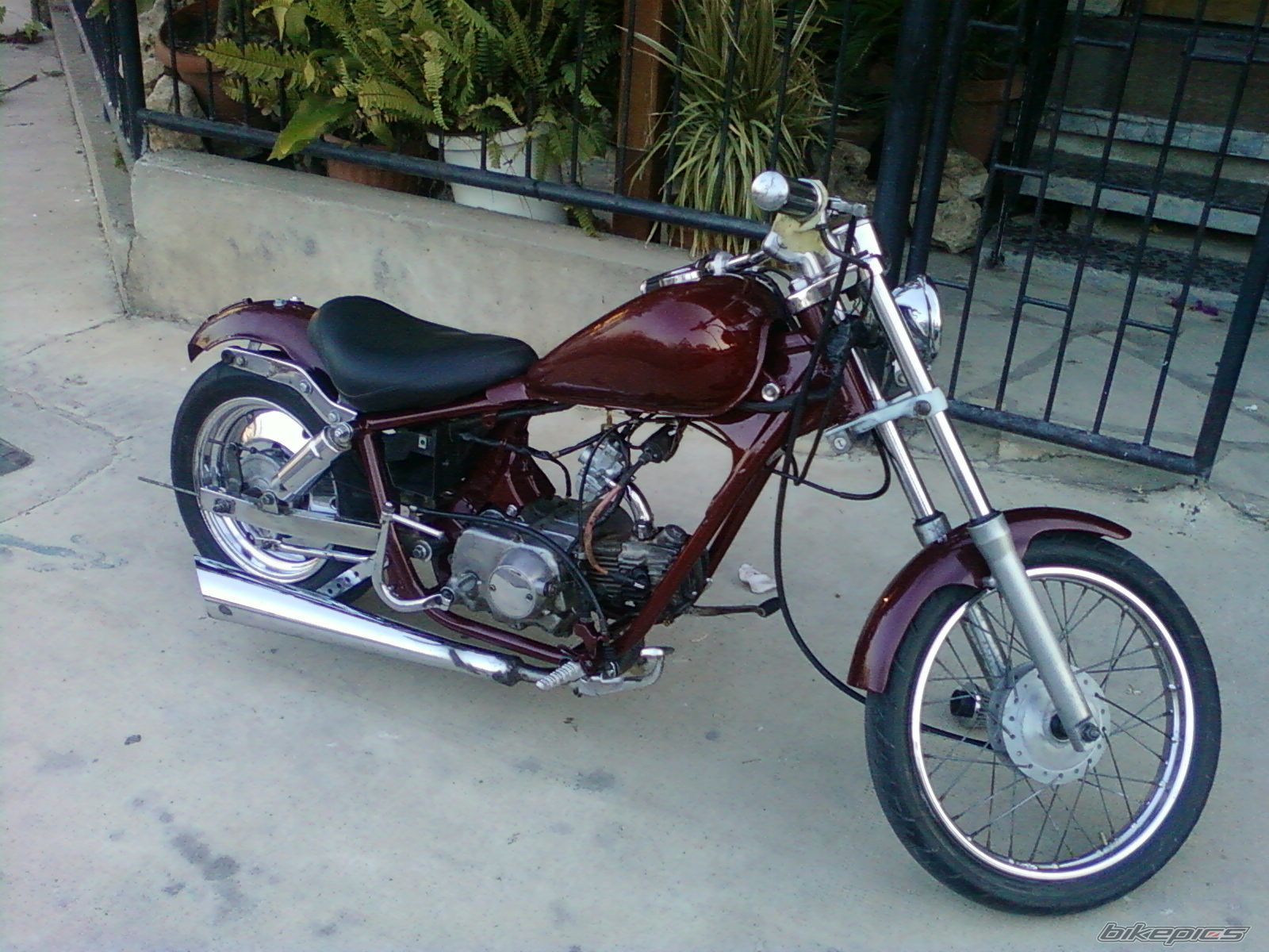 Photo 1729819