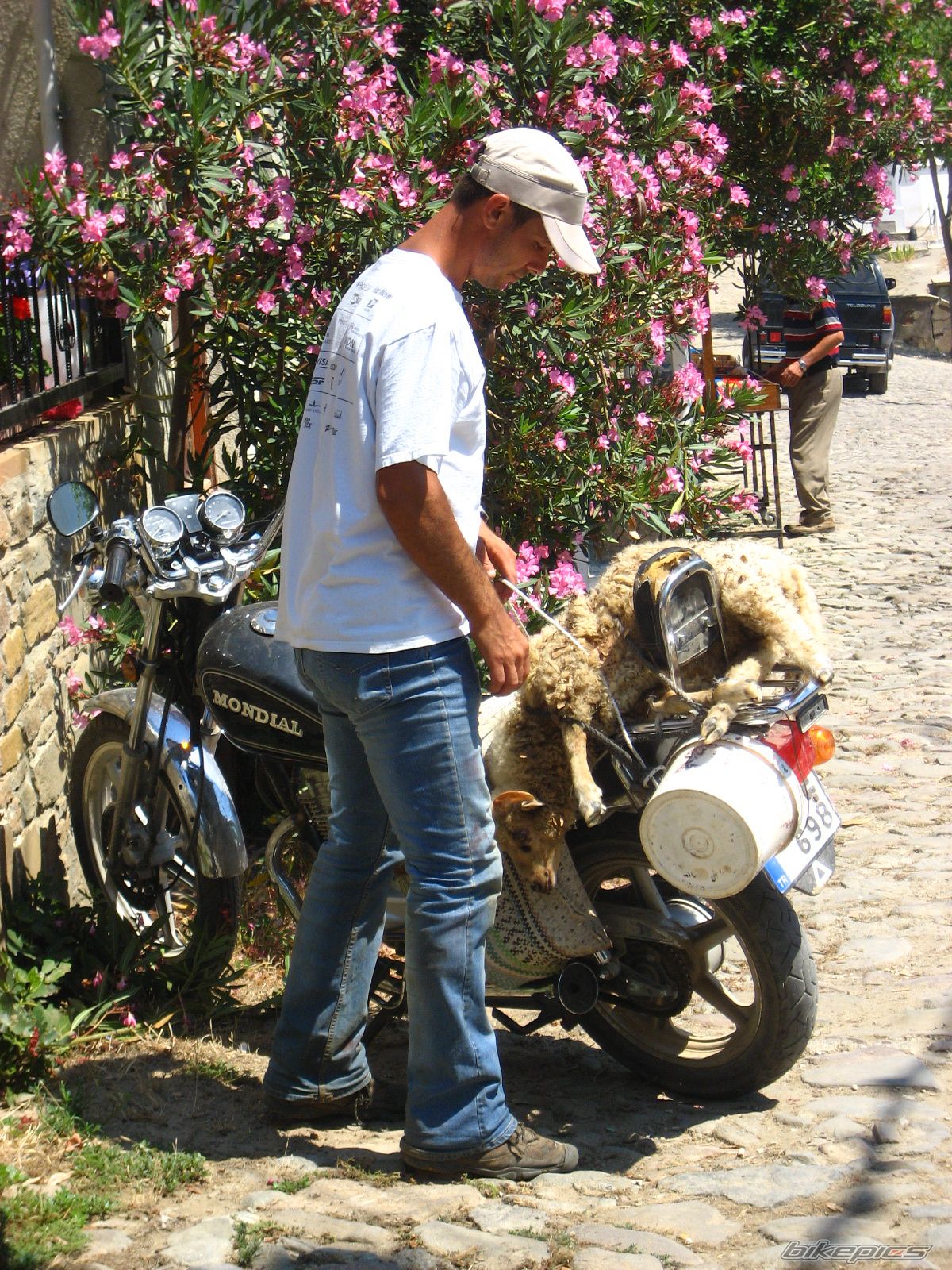Photo 1729859