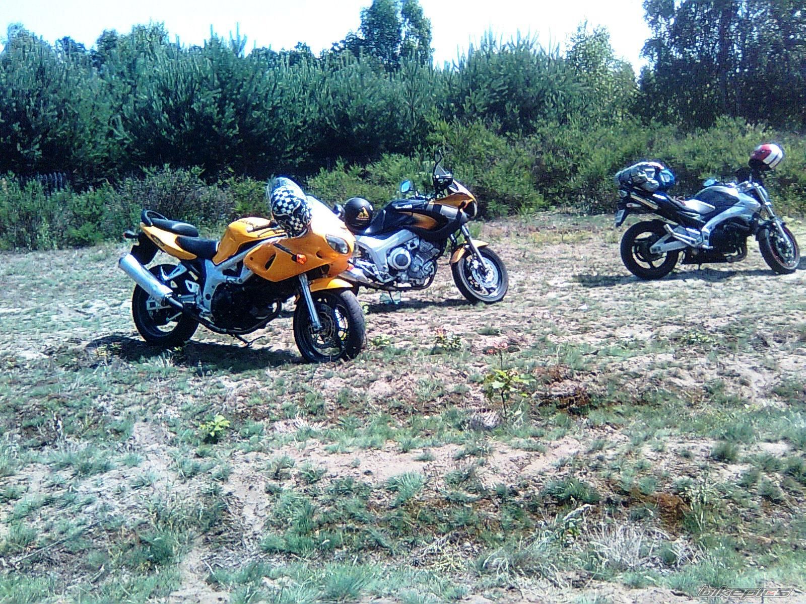 Photo 1729980