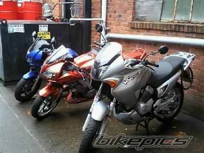 Photo 1729984