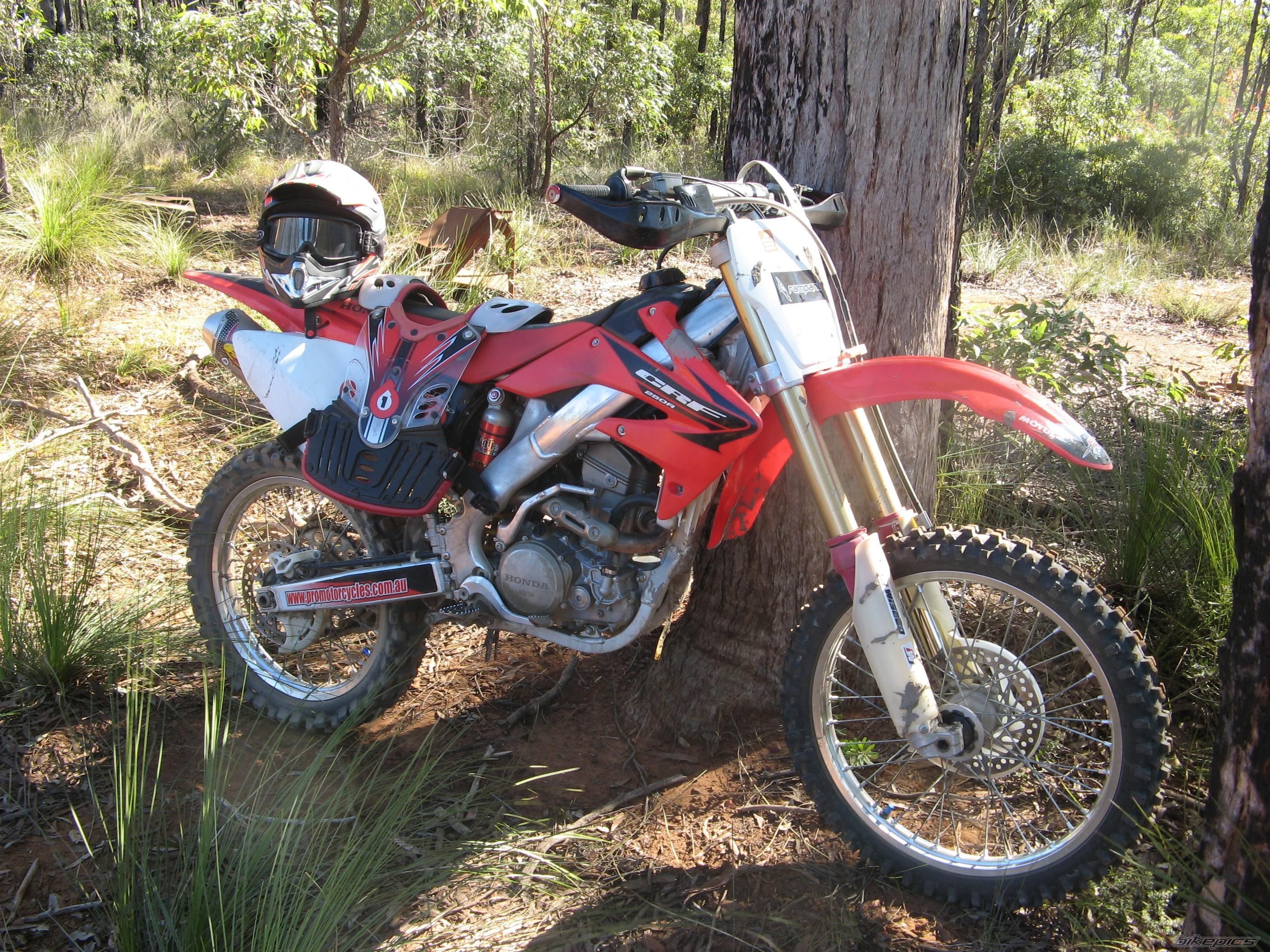 Photo 1730251