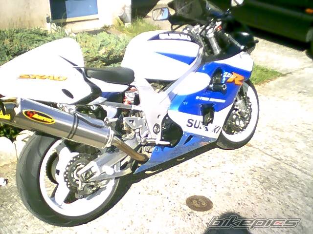 Photo 173086