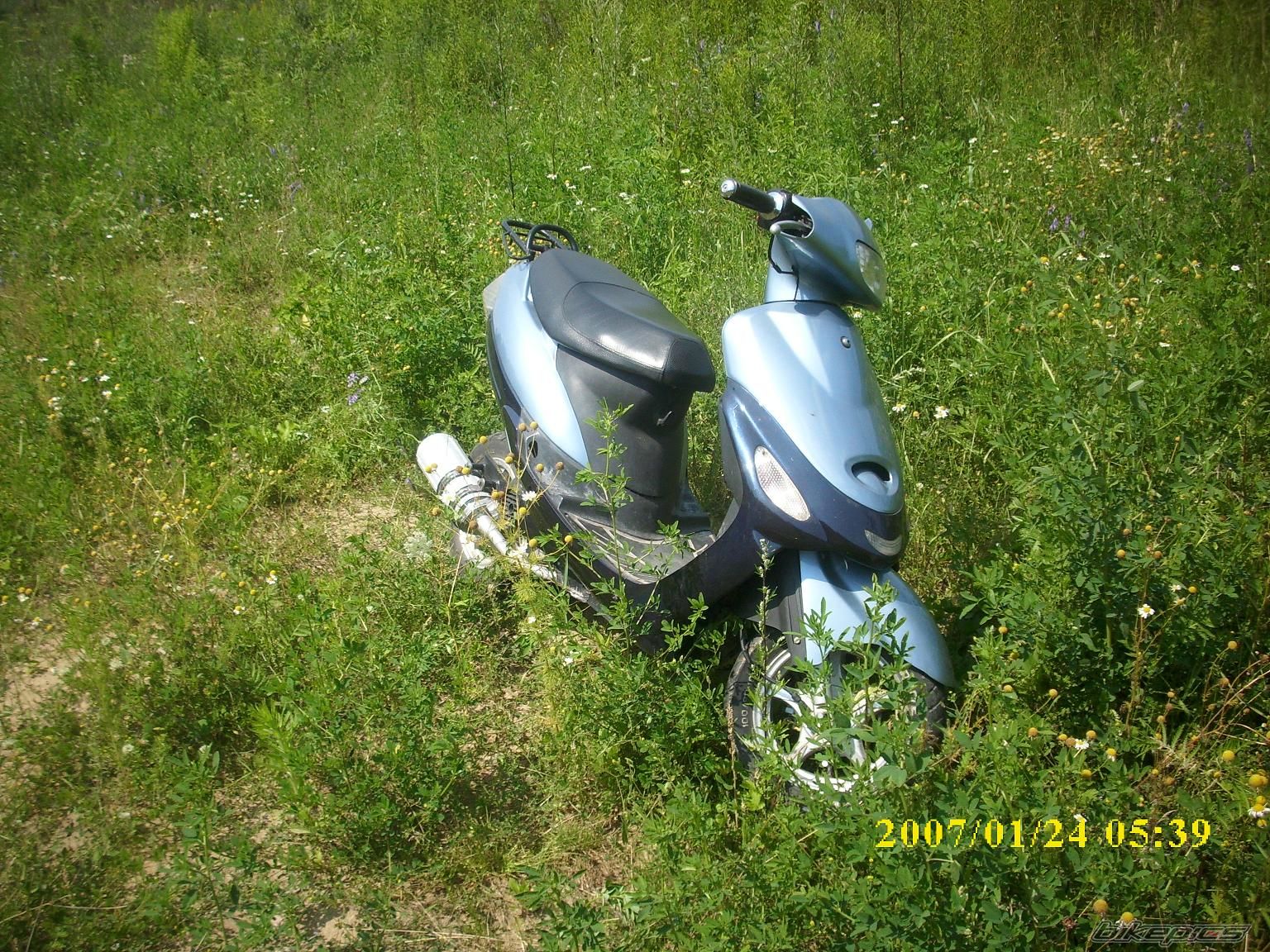 Photo 1731032