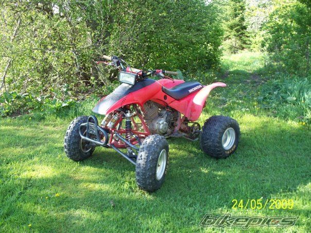 Photo 1731086