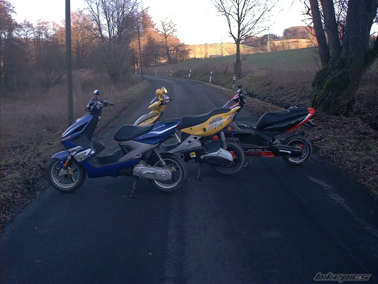 Photo 17311