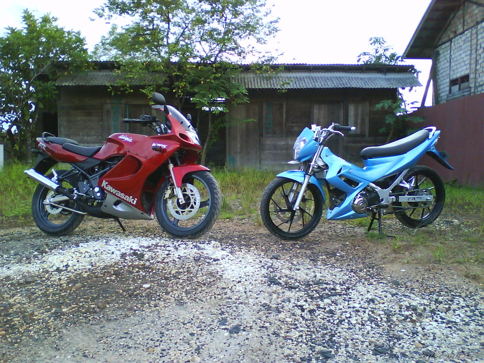 Bike Photo 1731242