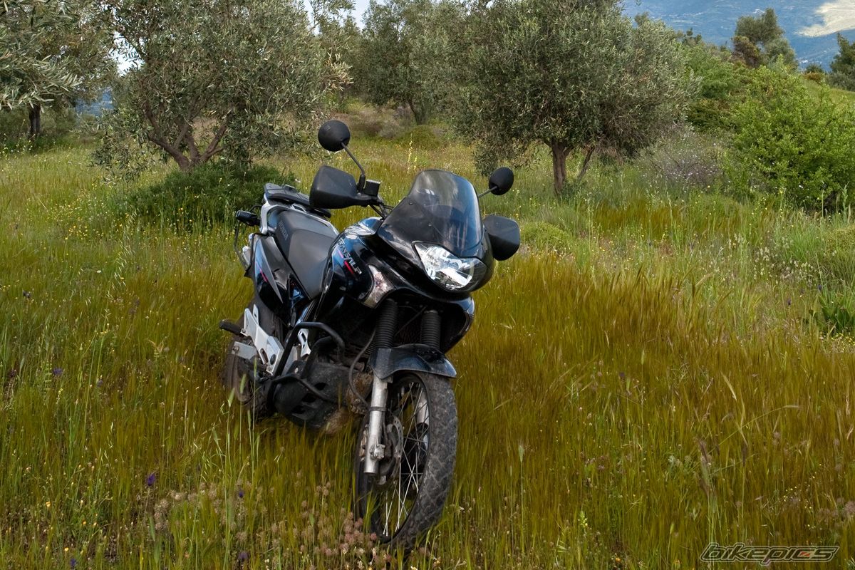 Bike Photo 1731282