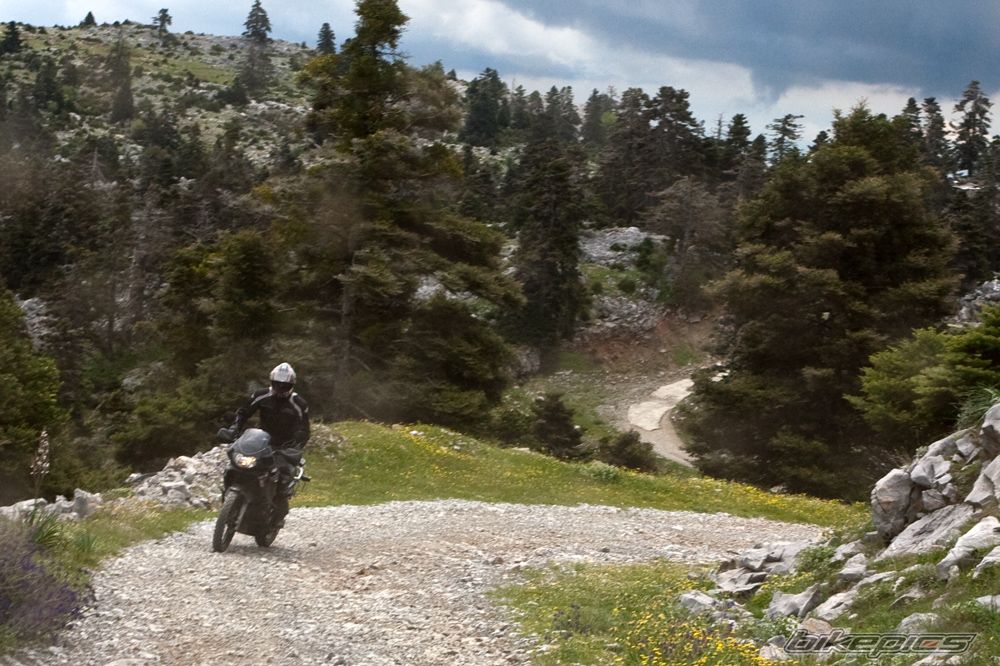 Bike Photo 1731283