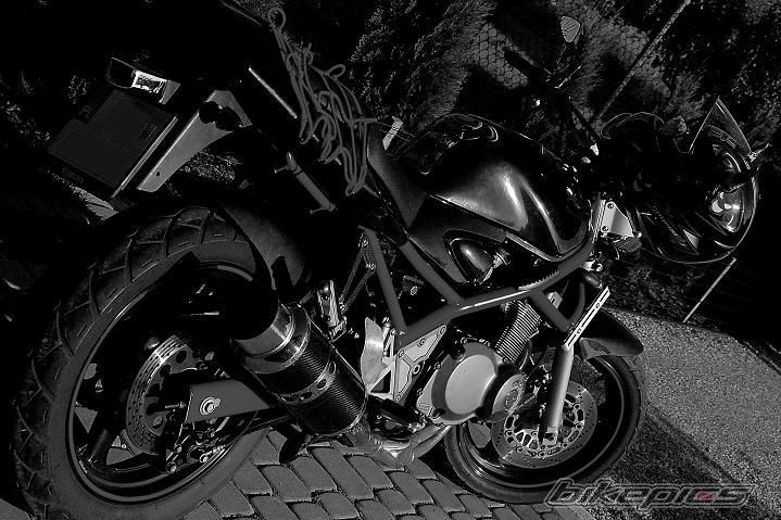 Photo 1731378