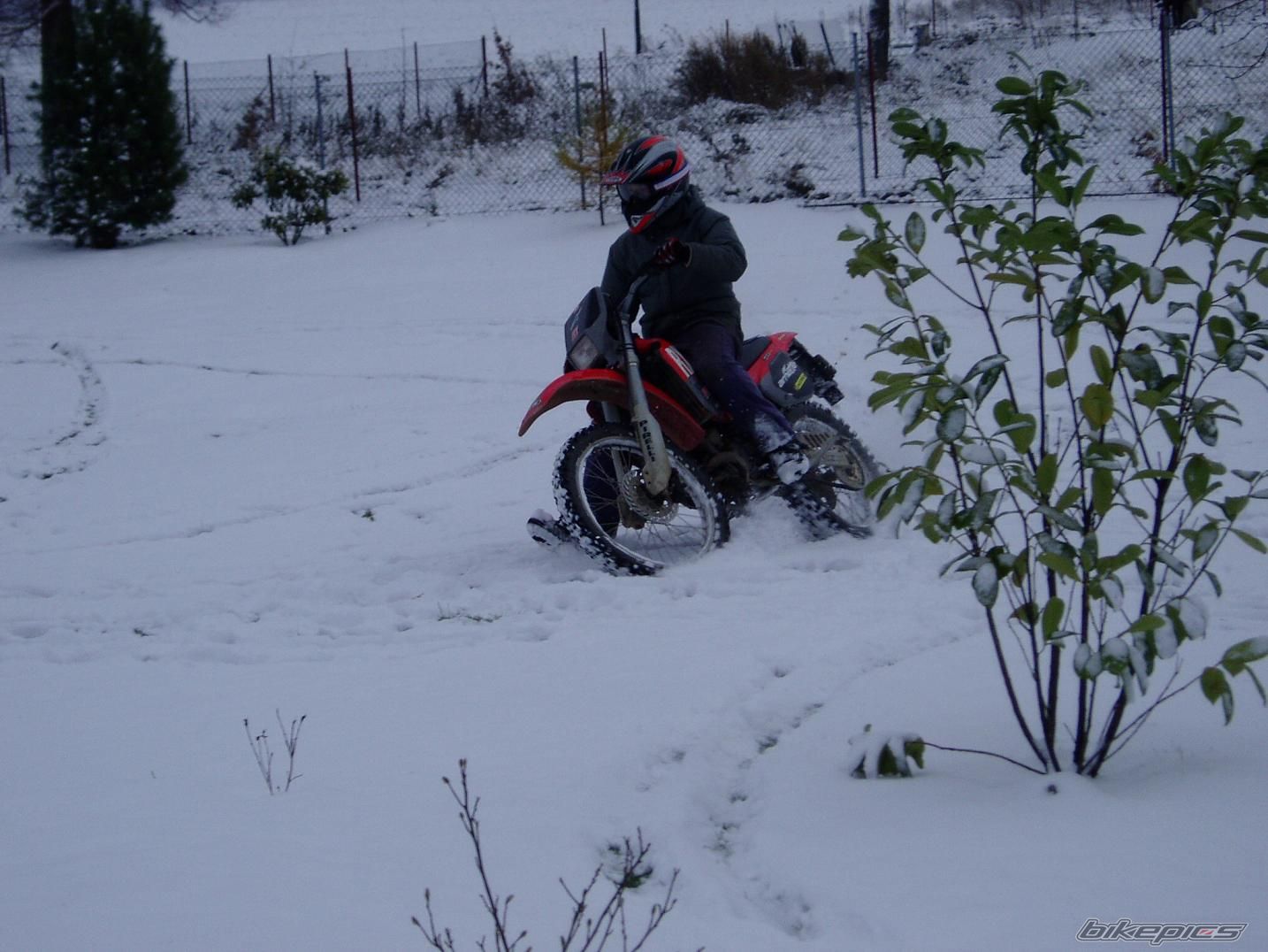 Photo 1731381