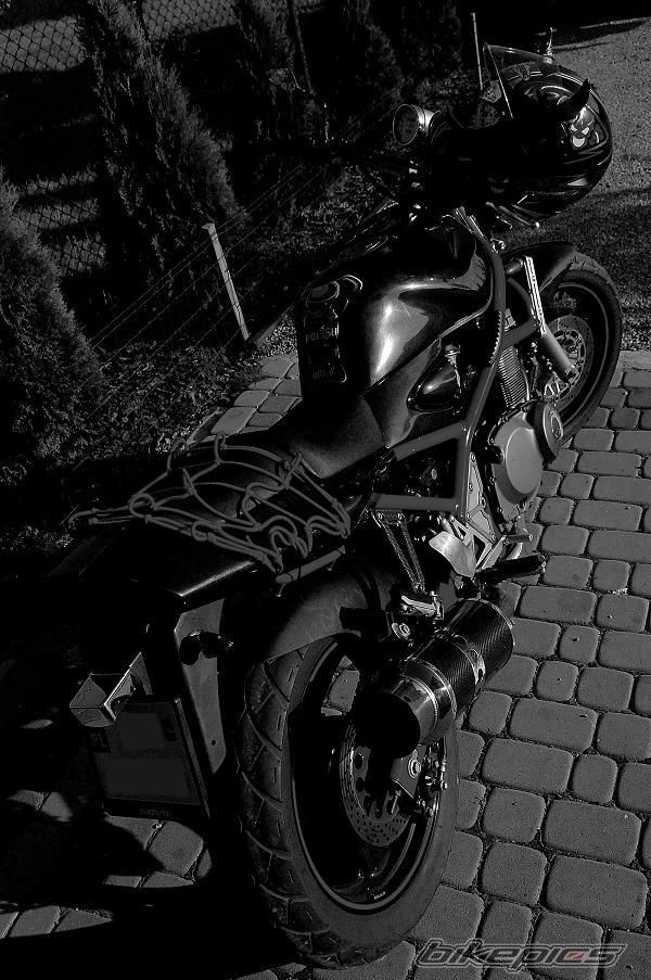 Photo 1731384