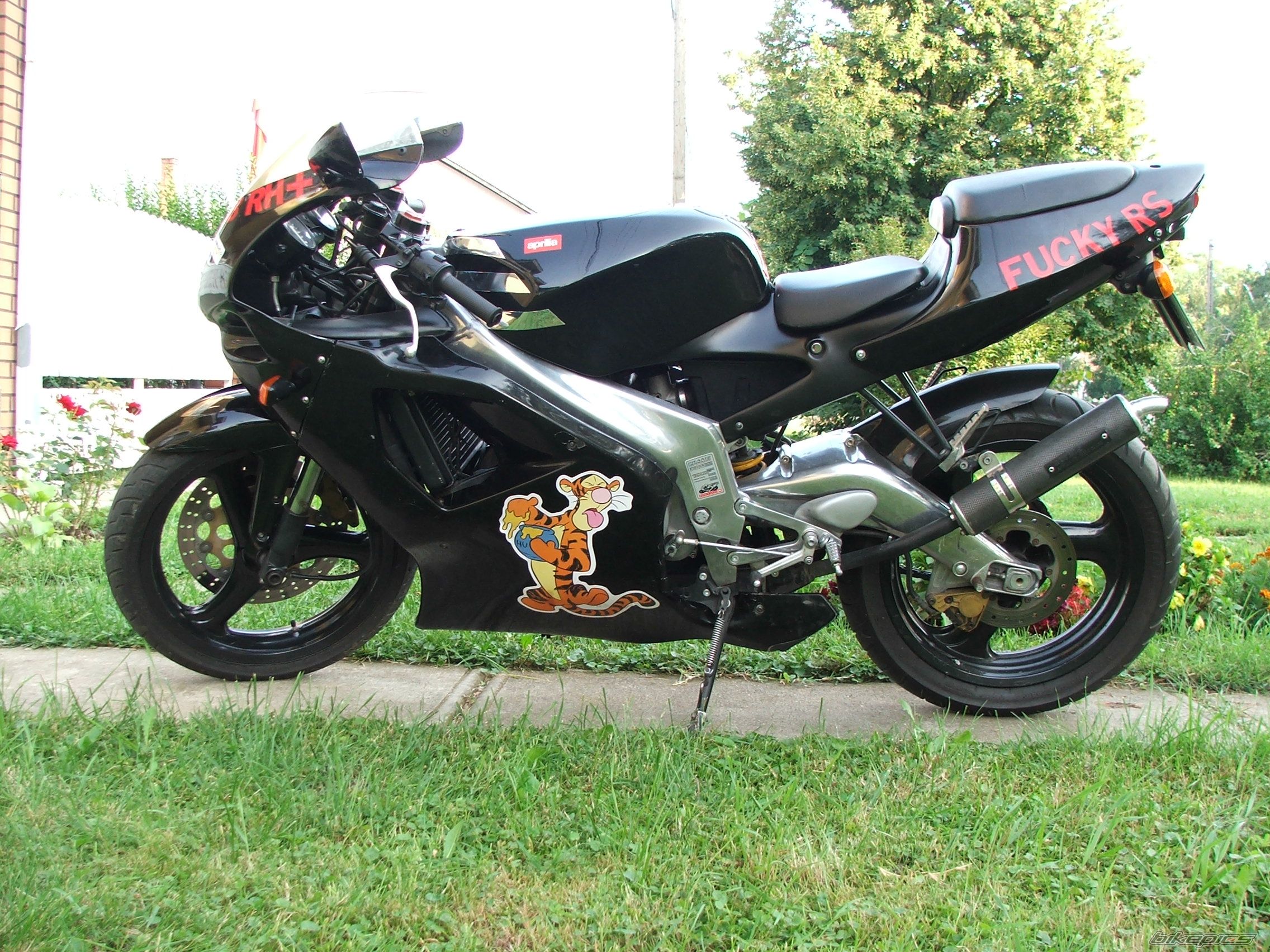 Photo 1731421