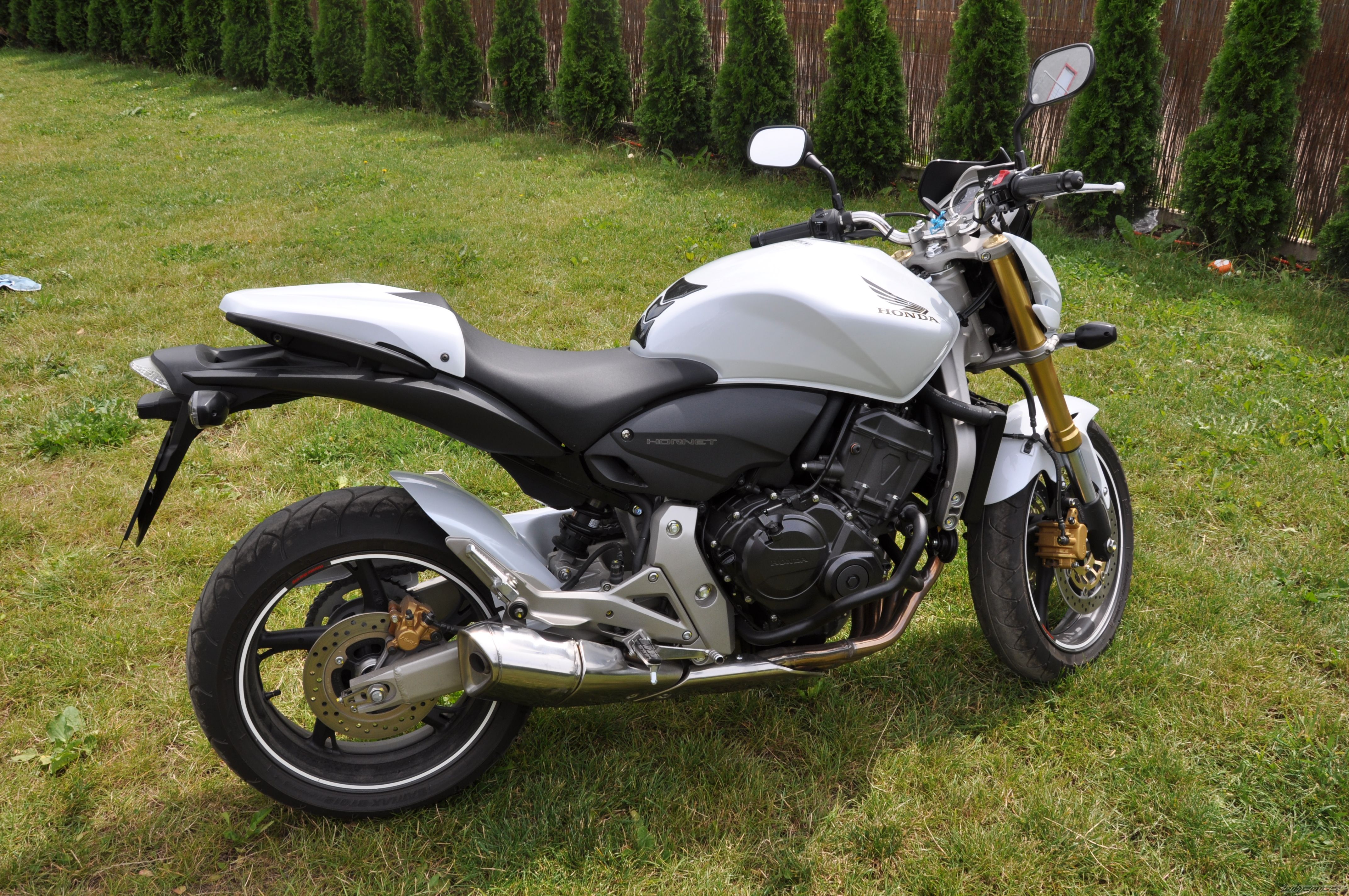 Photo 1731424
