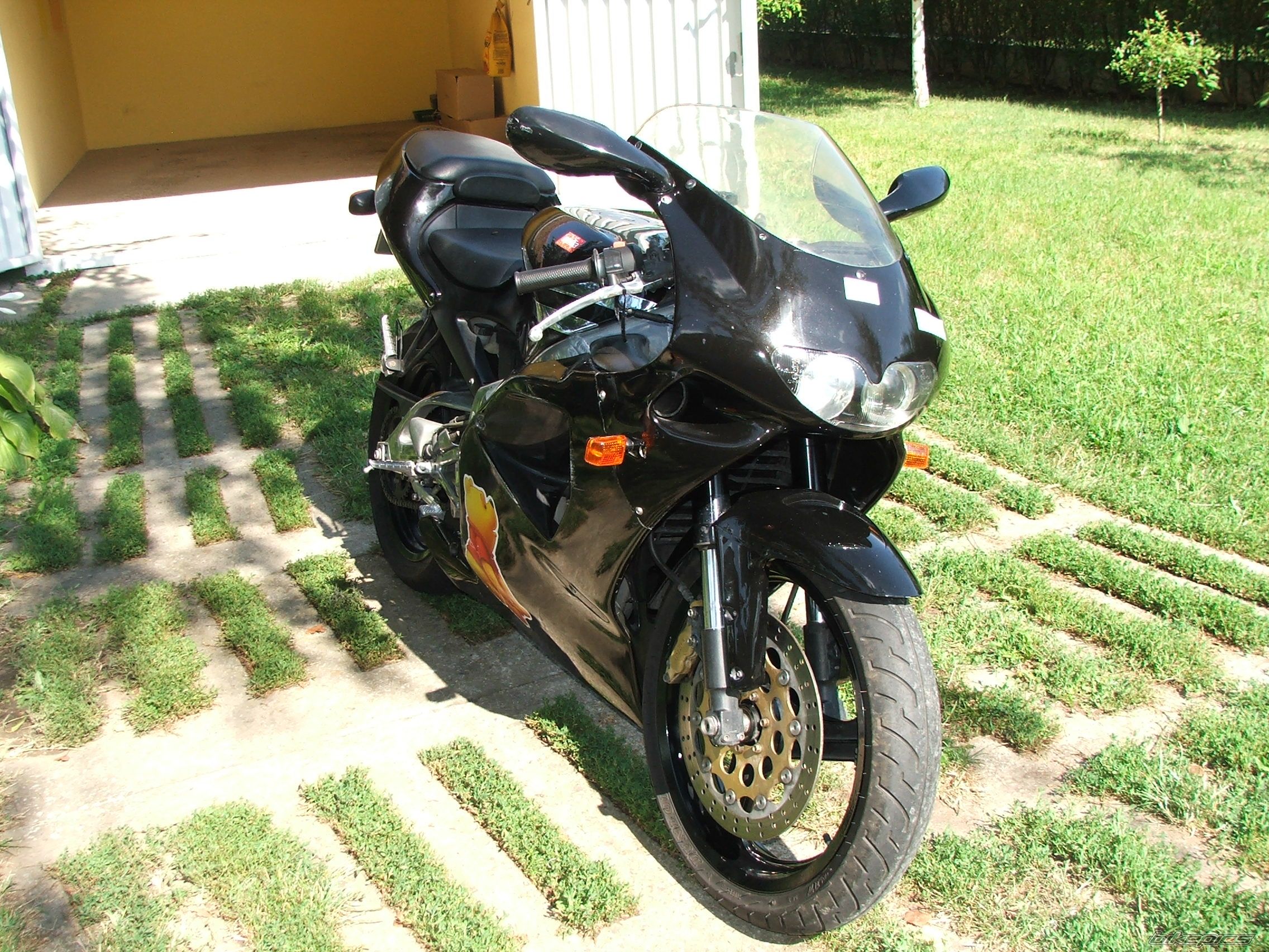 Photo 1731429