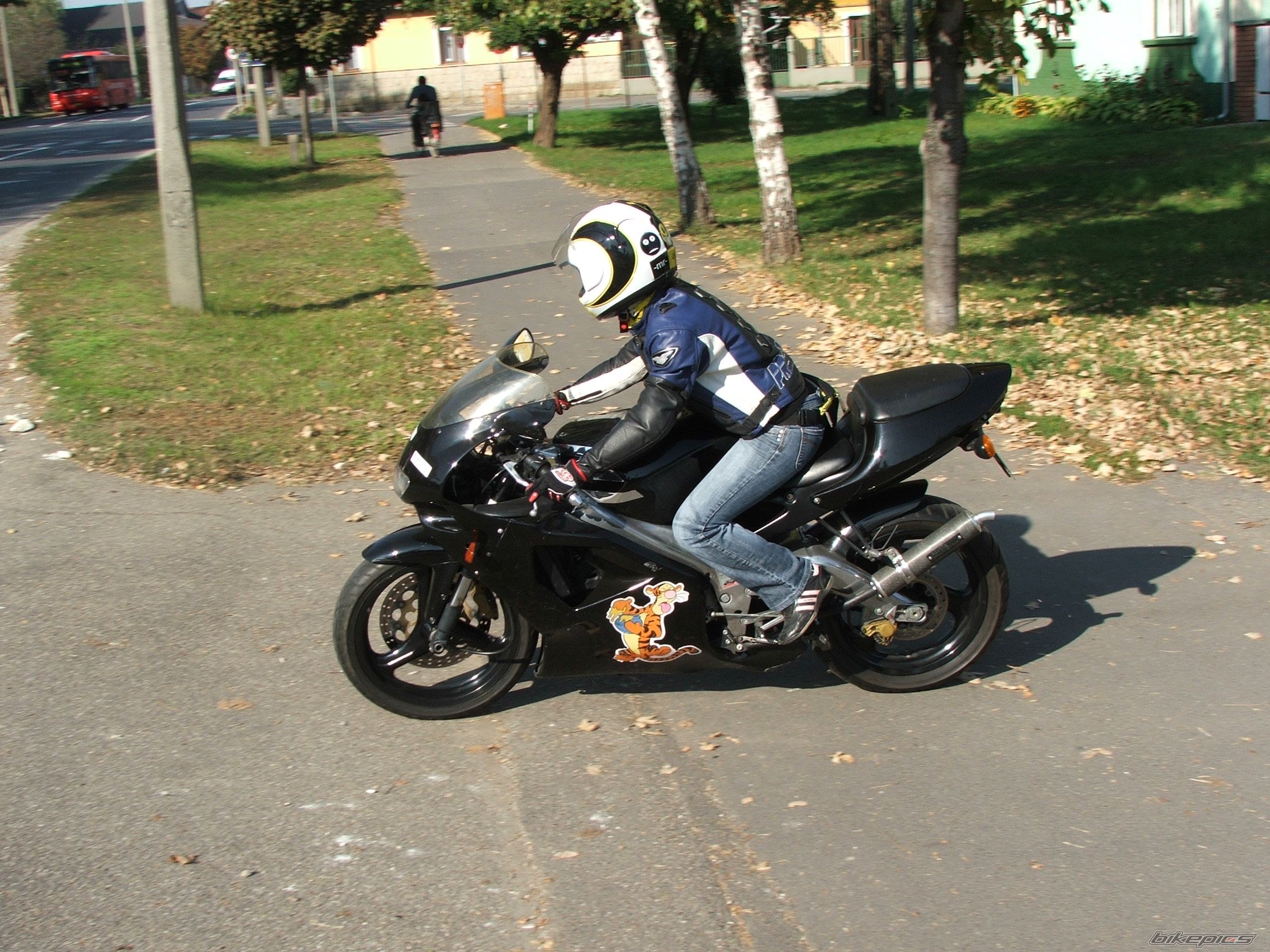 Photo 1731437