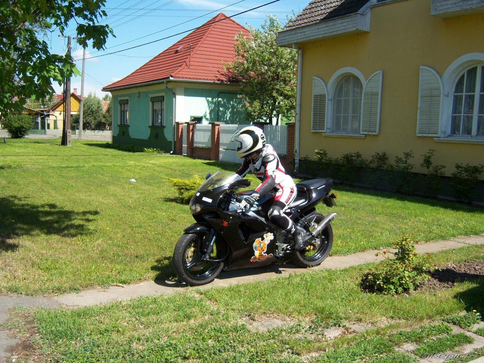 Photo 1731457