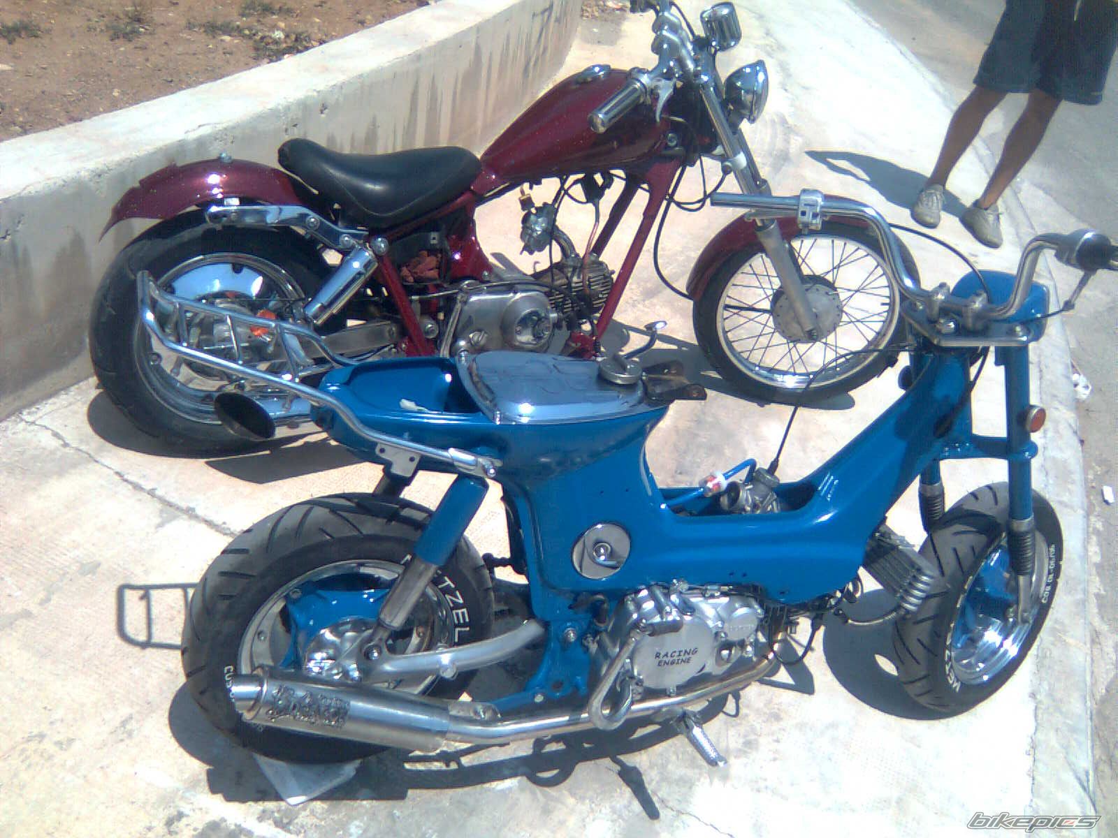 Photo 1731460