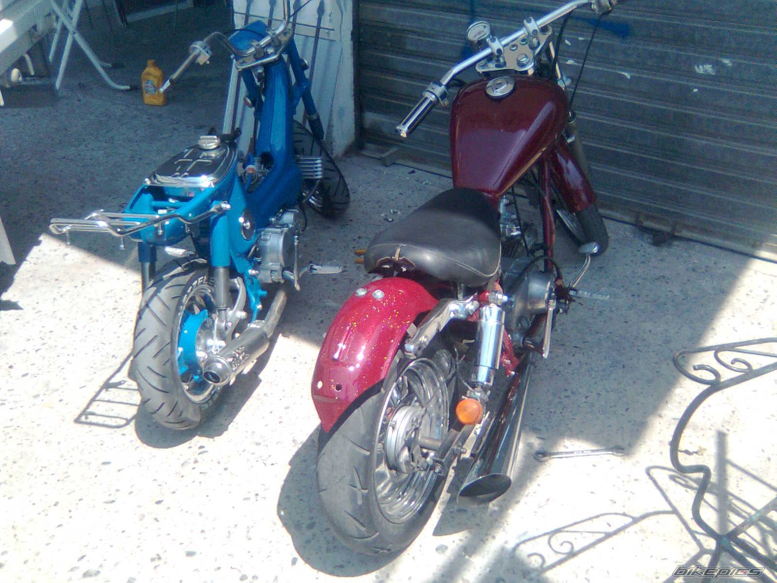 Photo 1731461
