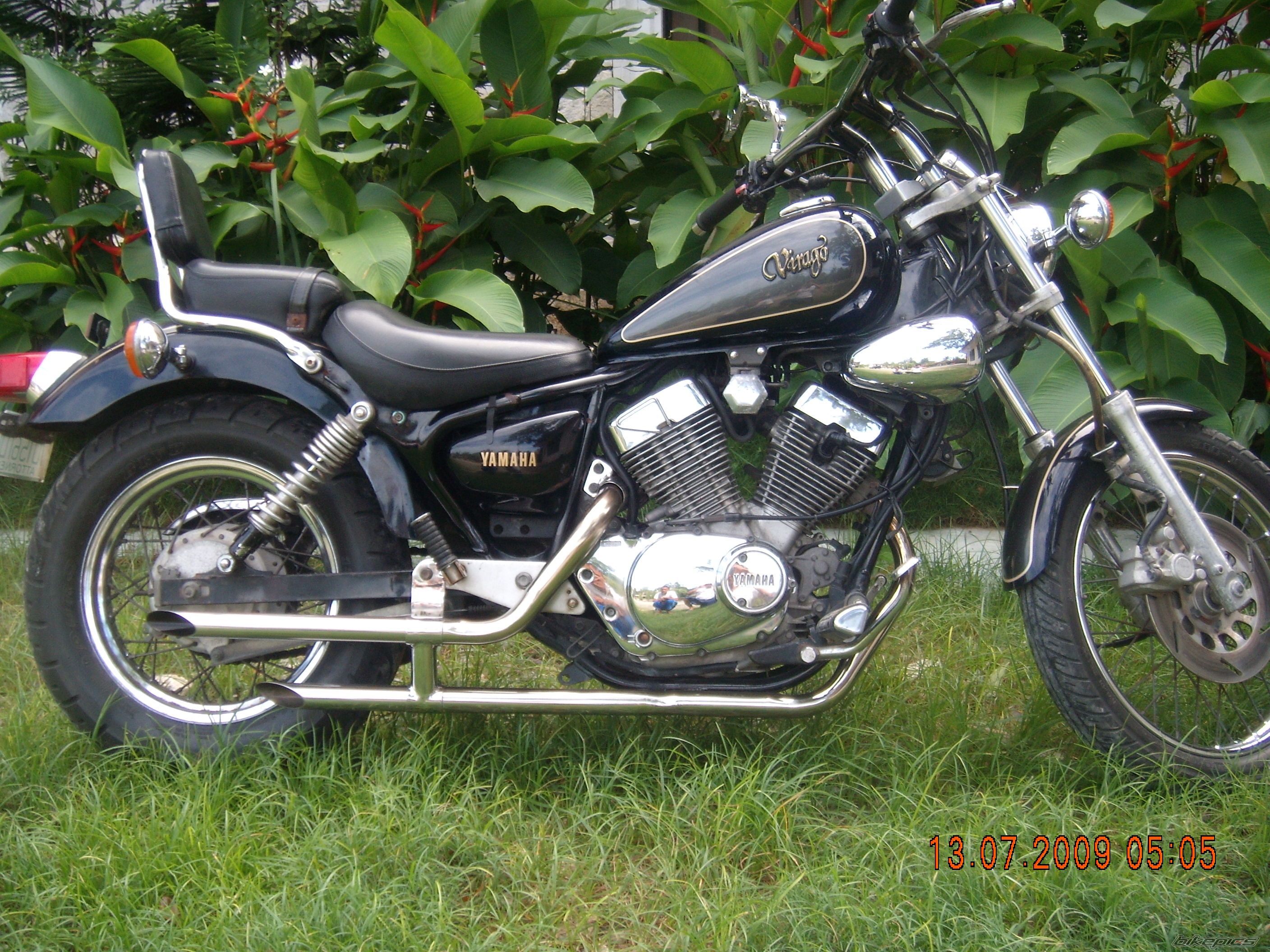 Photo 1731464