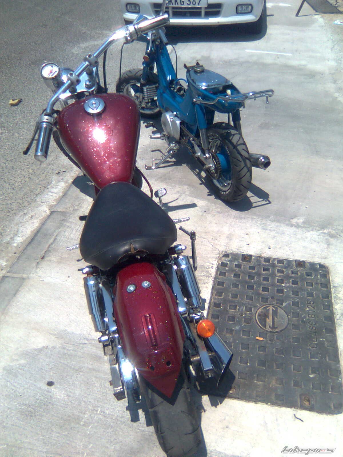 Photo 1731468