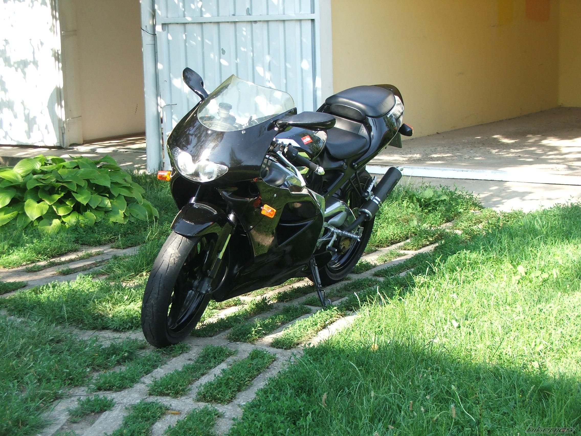 Photo 1731471