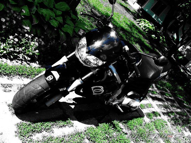 Photo 1731484