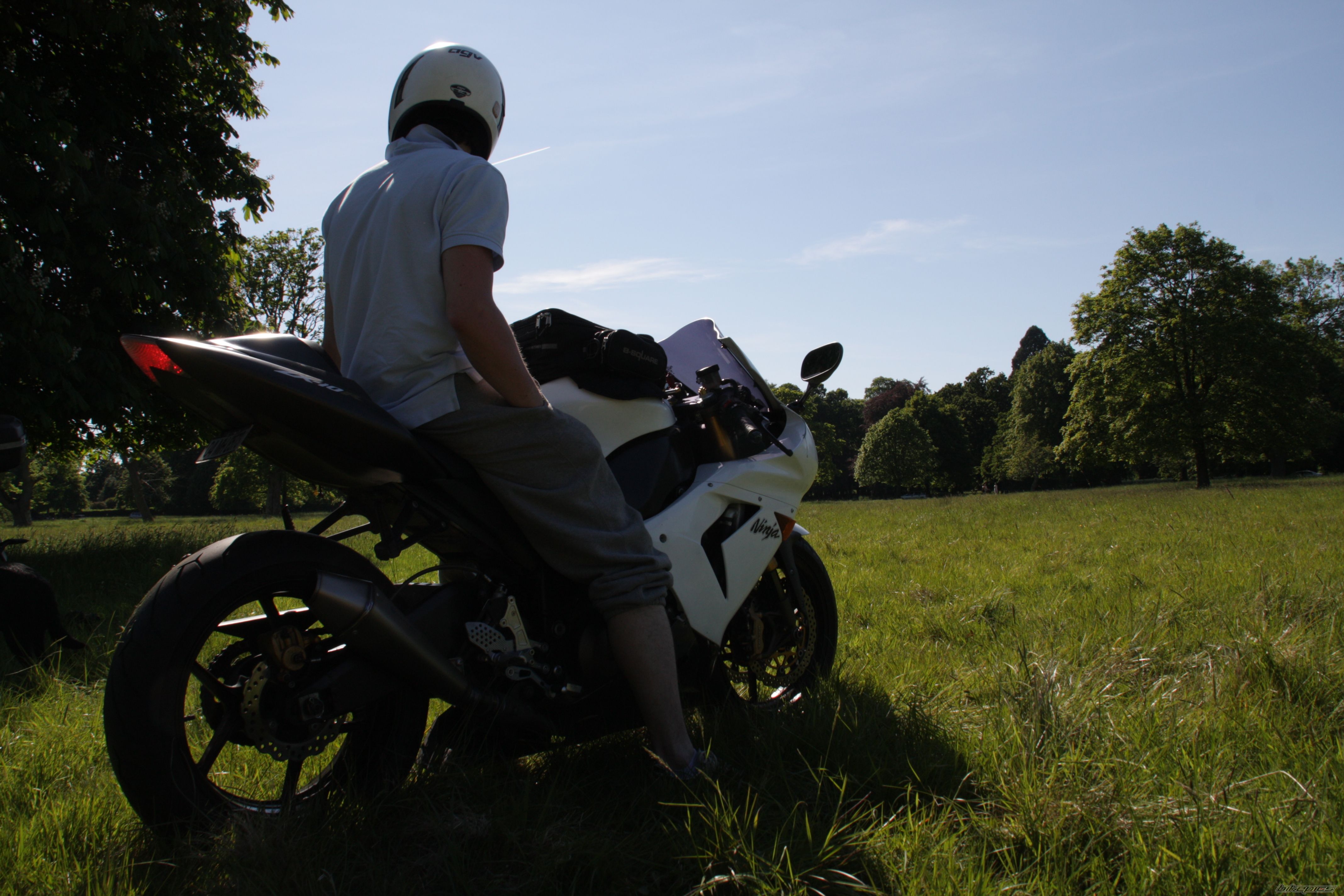 Photo 1731628